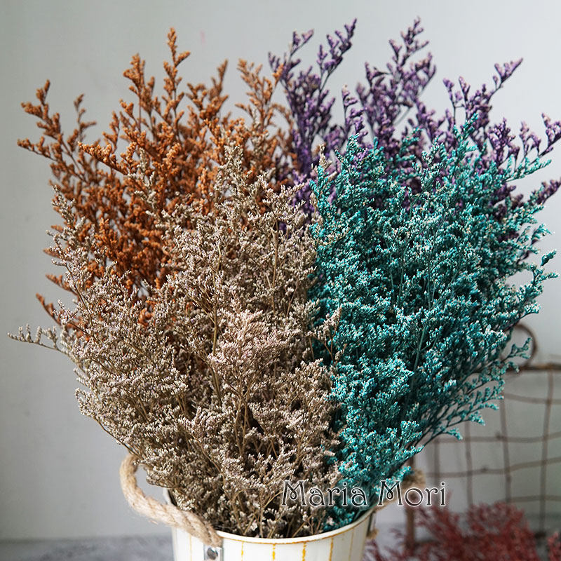 Dried Flower Pressed - 50g/Preserved Valentine's Grass Limonium Flower Lover