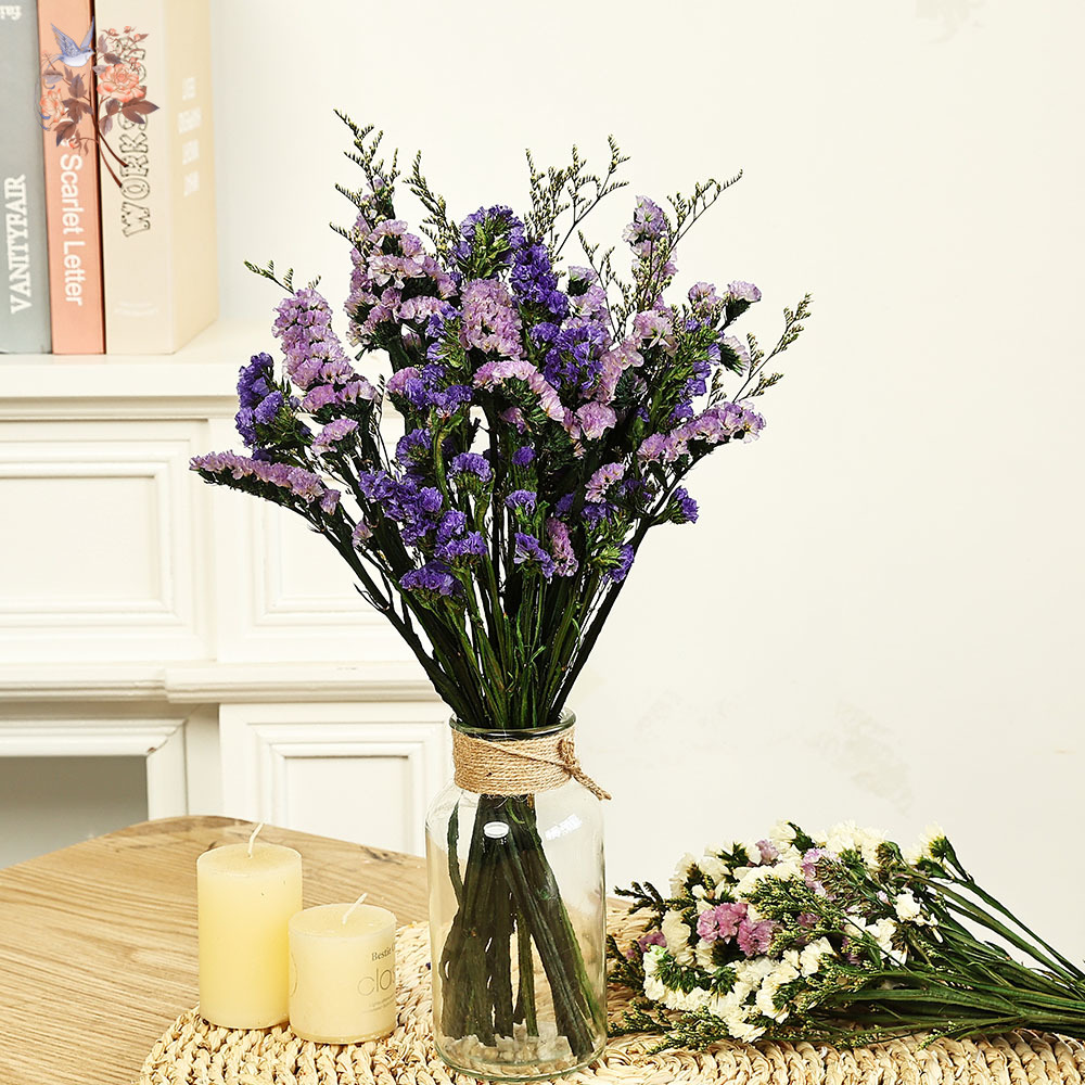 Dried Flower Pressed - 100g Natural Real Forget-me-not Flower Bouquet