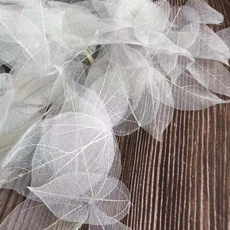 5~9CM*2~3.5CM,100PCS/Set,Real  – Dried Flower Pressed Bewertung und Preis