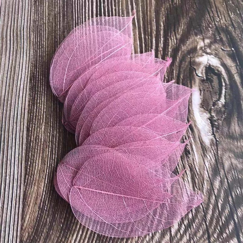 5~9CM*2~3.5CM,100PCS/Set,Real  – Dried Flower Pressed Bewertung und Preis