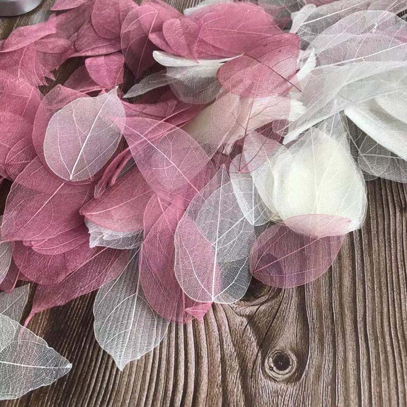 5~9CM*2~3.5CM,100PCS/Set,Real  – Dried Flower Pressed Bewertung und Preis