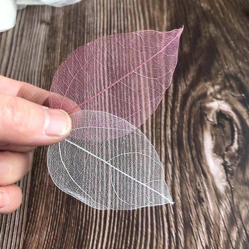5~9CM*2~3.5CM,100PCS/Set,Real  – Dried Flower Pressed Bewertung und Preis