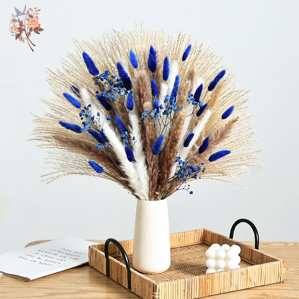 70 Stem Blue Fluffly Rabbit Ta – Dried Flower Pressed Bewertung und Preis