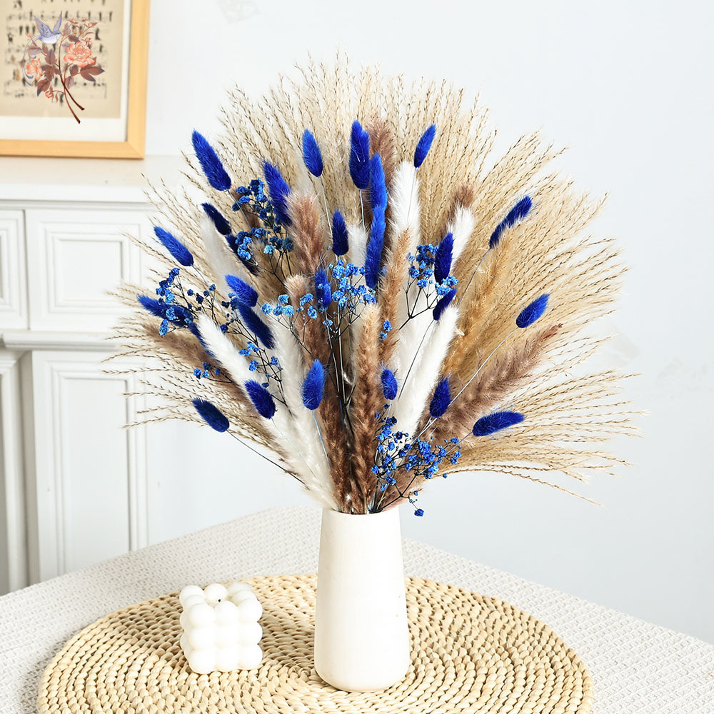70 Stem Blue Fluffly Rabbit Ta – Dried Flower Pressed Bewertung und Preis