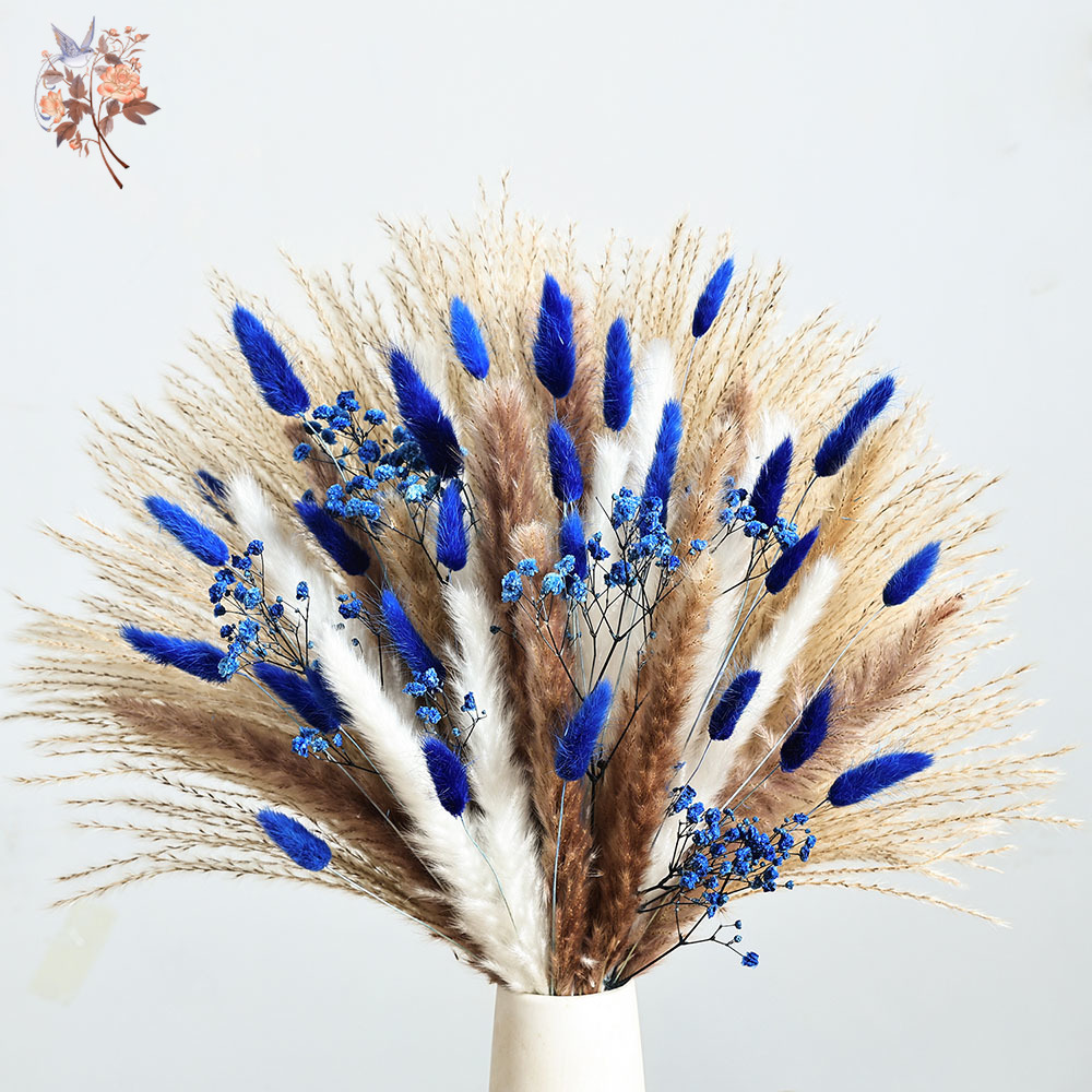 70 Stem Blue Fluffly Rabbit Ta – Dried Flower Pressed Bewertung und Preis