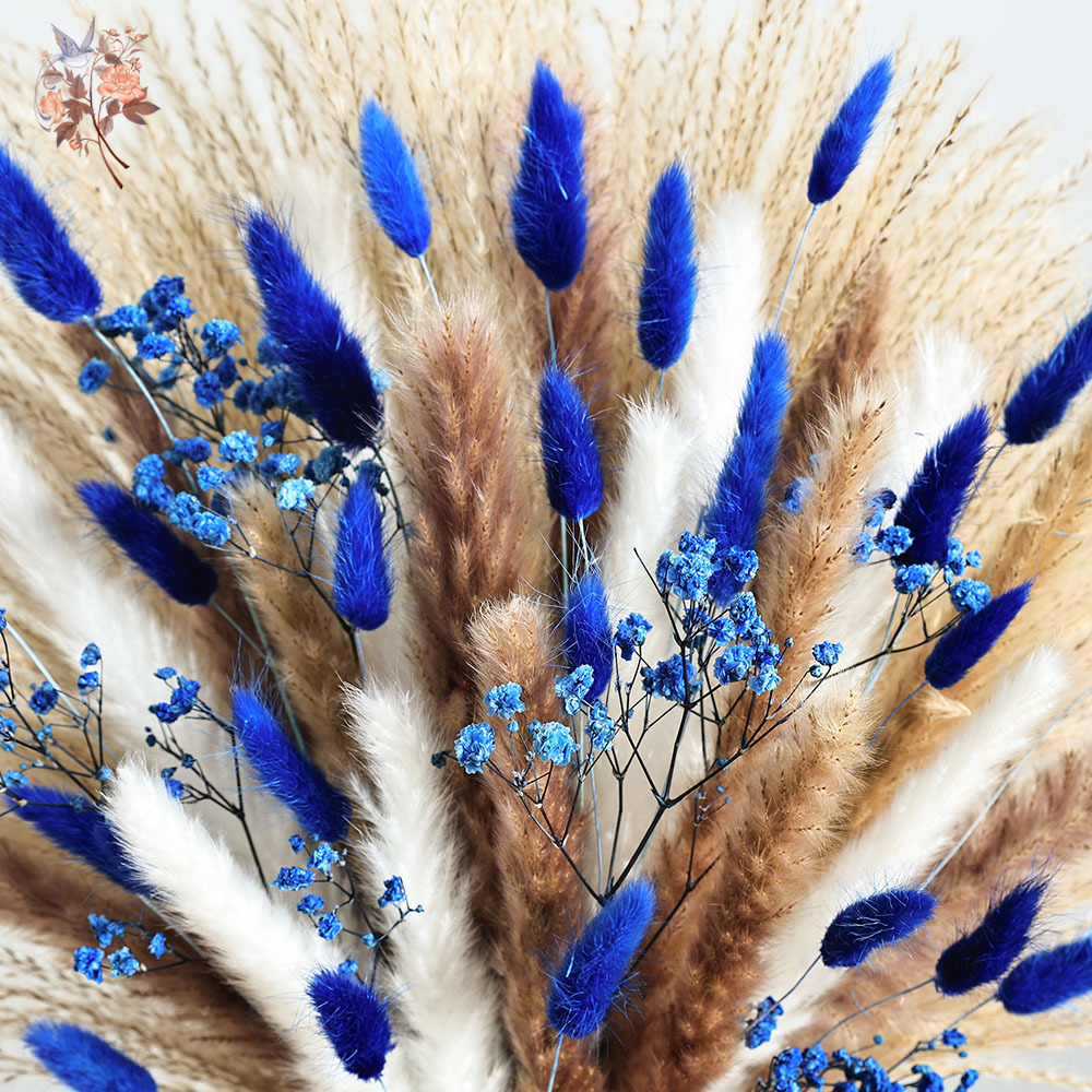 70 Stem Blue Fluffly Rabbit Ta – Dried Flower Pressed Bewertung und Preis