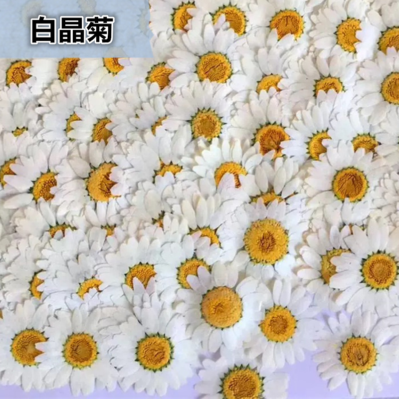 100Pcs Natural White Crystal C – Dried Flower Pressed Bewertung und Preis