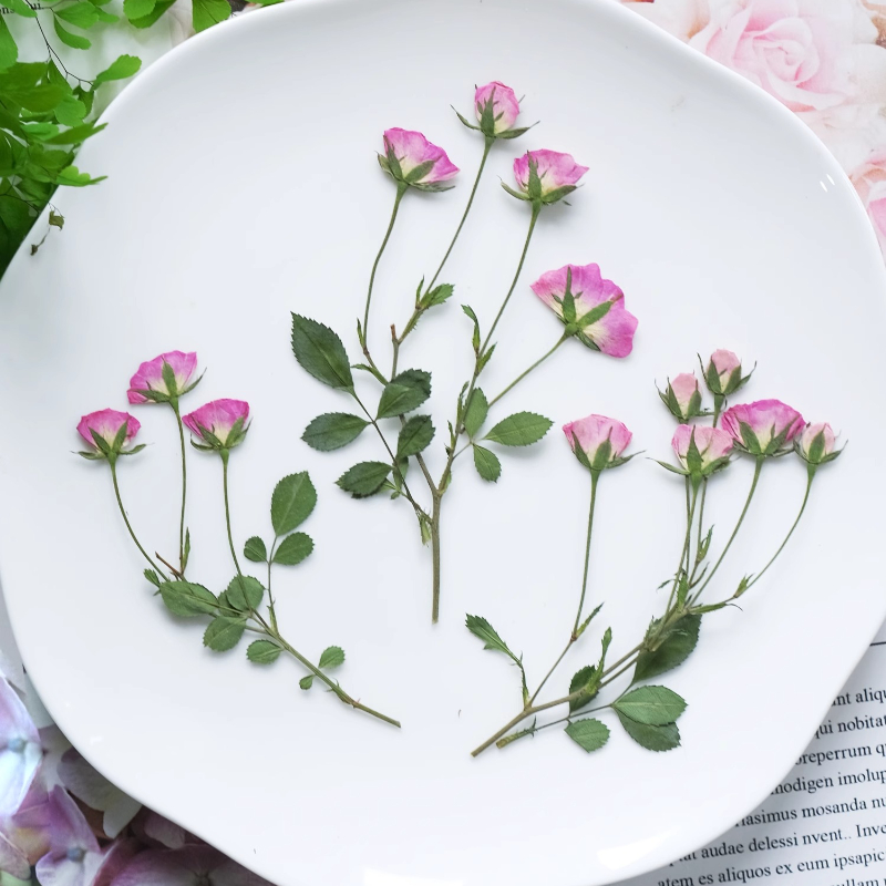 12pcs,Mini Pink Rose Pressed F – Dried Flower Pressed Bewertung und Preis