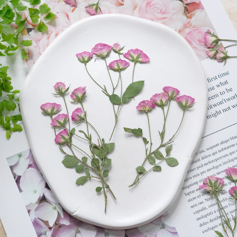 12pcs,Mini Pink Rose Pressed F – Dried Flower Pressed Bewertung und Preis