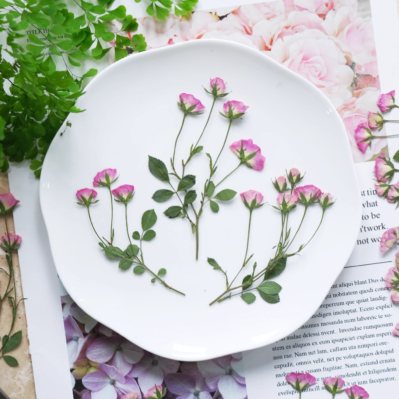 12pcs,Mini Pink Rose Pressed F – Dried Flower Pressed Bewertung und Preis