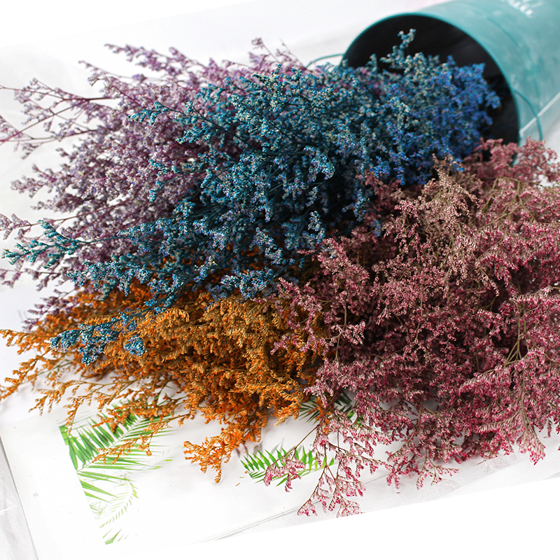 50g/Preserved Valentine's Gras – Dried Flower Pressed Bewertung und Preis