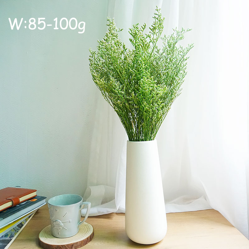 50g/Preserved Valentine's Gras – Dried Flower Pressed Bewertung und Preis