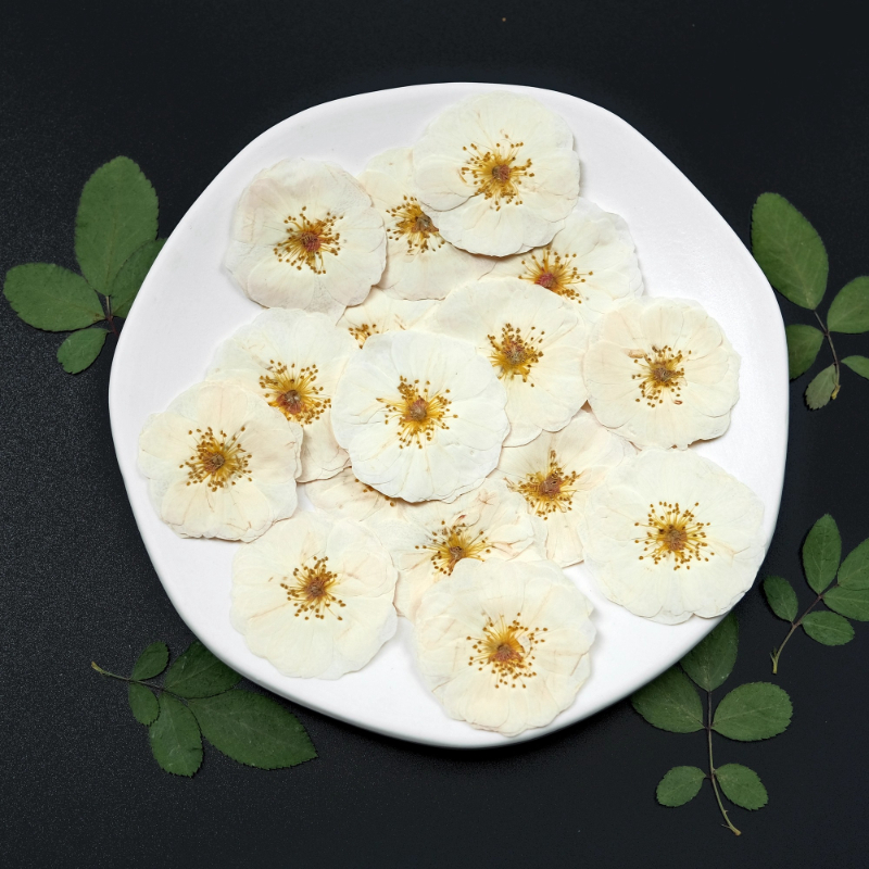 6pcs,9pcs,Nature White Rose Pr – Dried Flower Pressed Bewertung und Preis