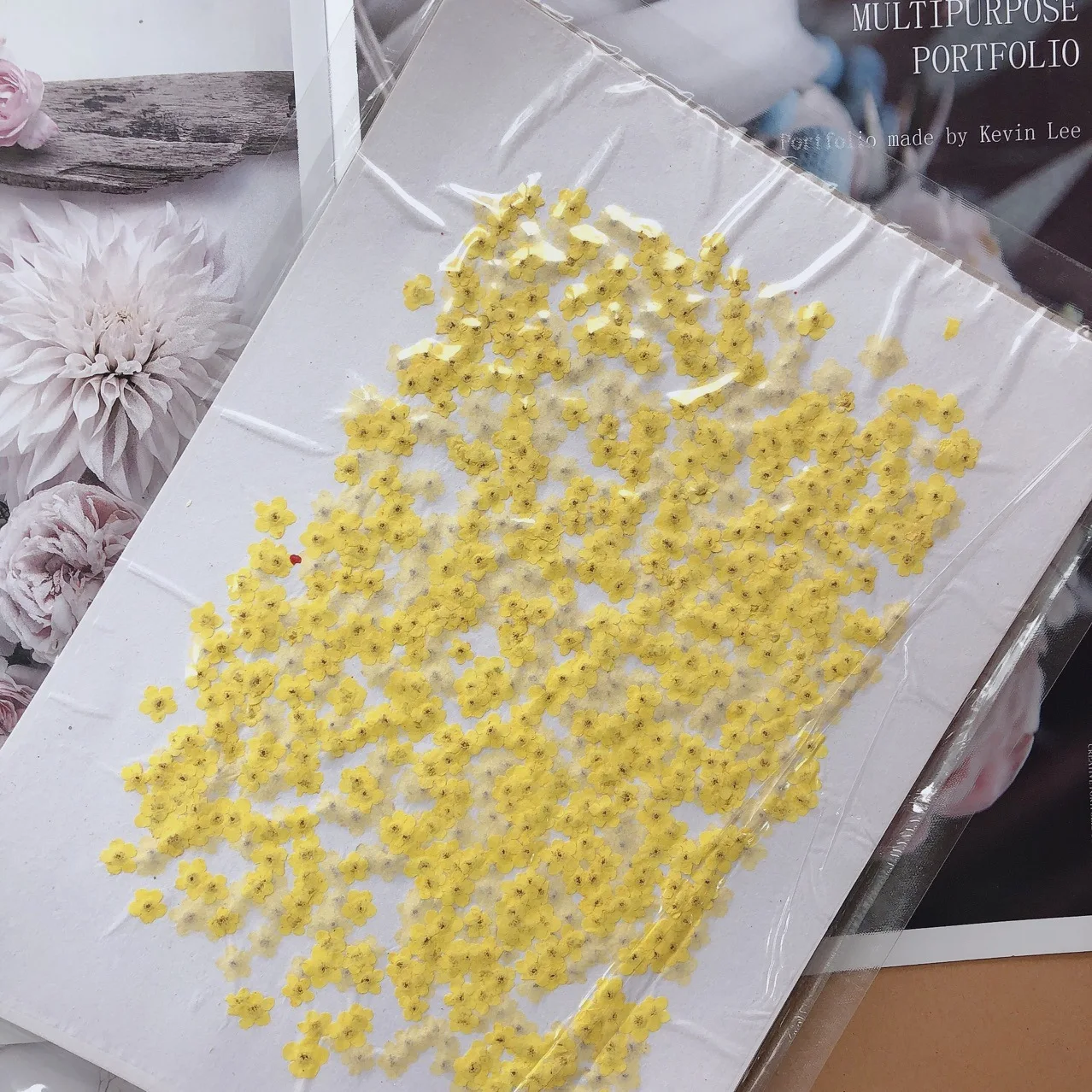 80pcs/0.5-1.5cm,Pressed mini f – Dried Flower Pressed Bewertung und Preis