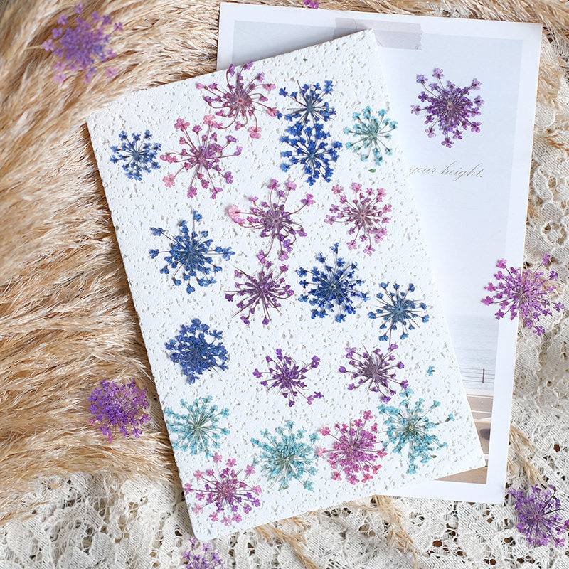24pcs,2-2.5cm,nature Dyed Mini – Dried Flower Pressed Bewertung und Preis