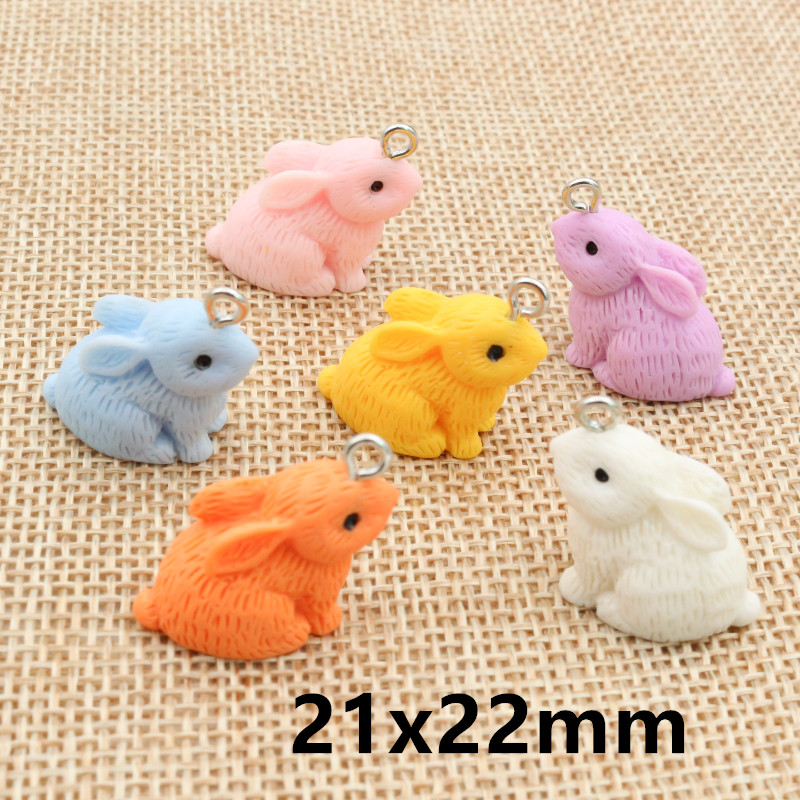 10PCS Resin Pendant Charms Rab – Resin Art Jewellery Kit Bewertung und Preis