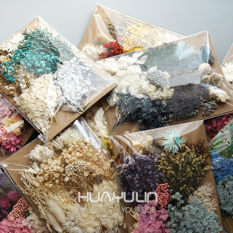 1 Pack Artificial Plants Dried – Dried Flower Pressed Bewertung und Preis
