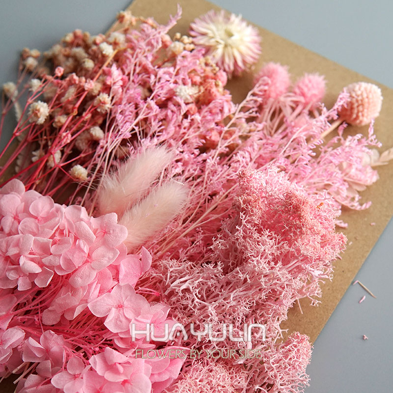 1 Pack Artificial Plants Dried – Dried Flower Pressed Bewertung und Preis