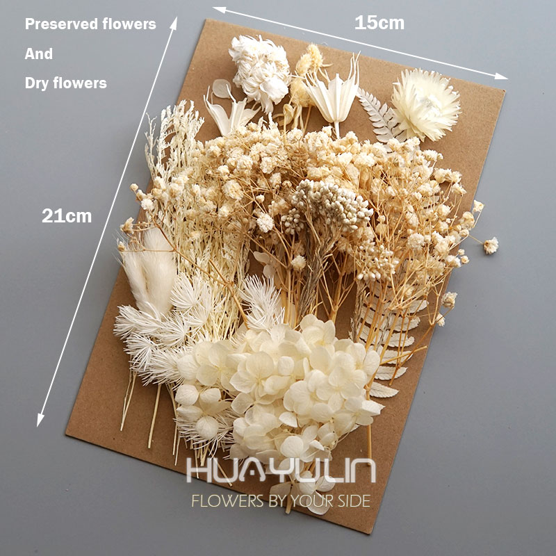 1 Pack Artificial Plants Dried – Dried Flower Pressed Bewertung und Preis