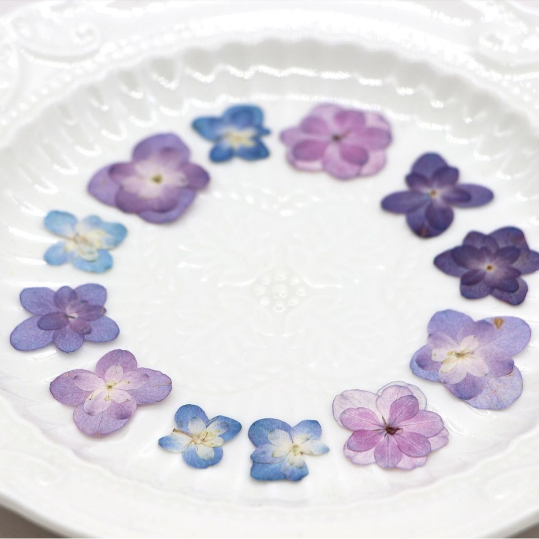 60Pcs Mini Double-Flowered Hyd – Dried Flower Pressed Bewertung und Preis