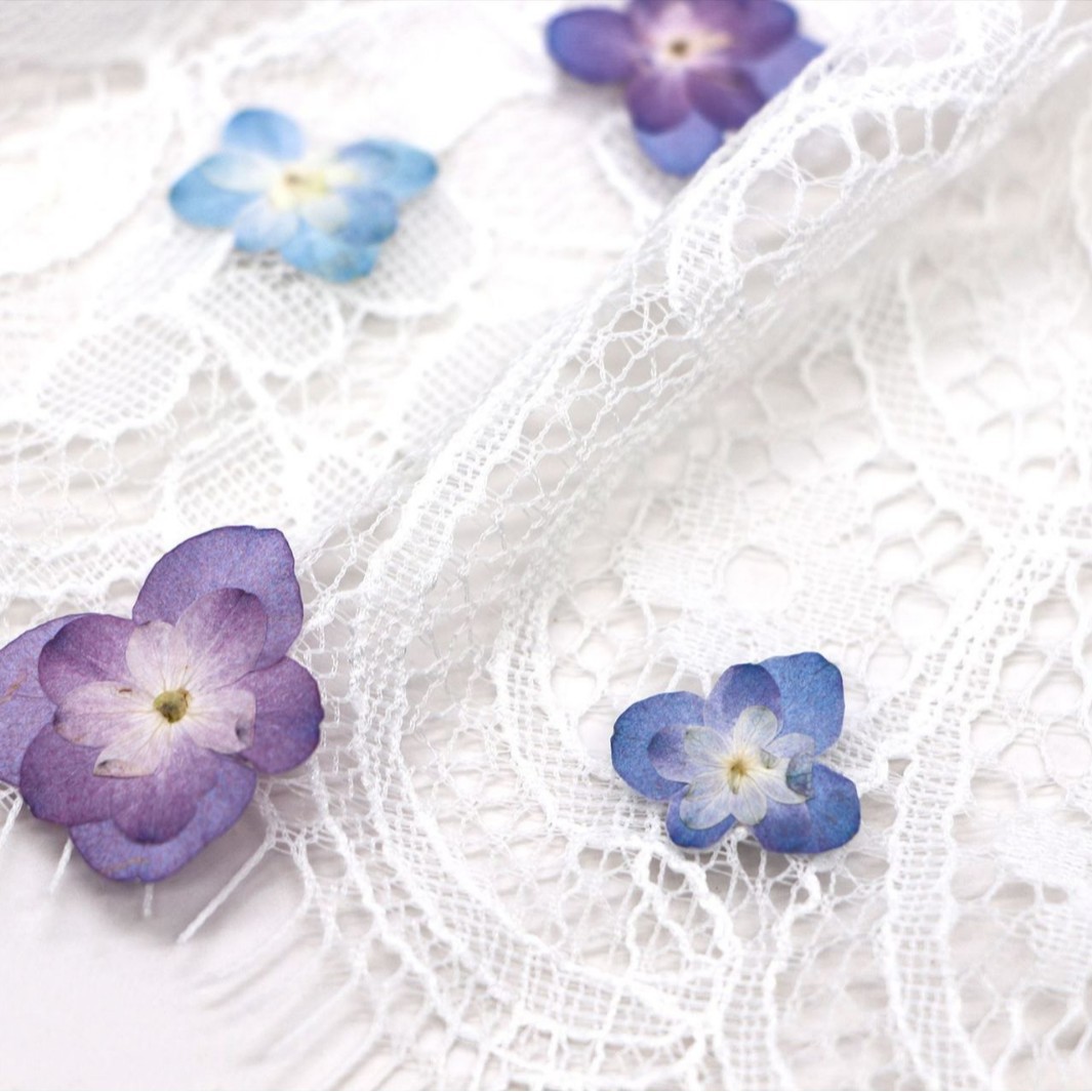 60Pcs Mini Double-Flowered Hyd – Dried Flower Pressed Bewertung und Preis