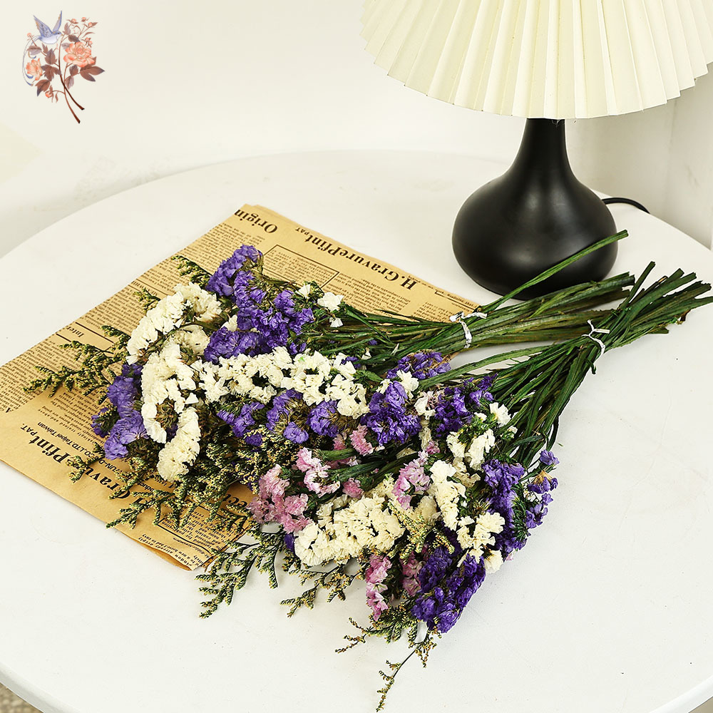 100g Natural Real Forget-me-no – Dried Flower Pressed Bewertung und Preis