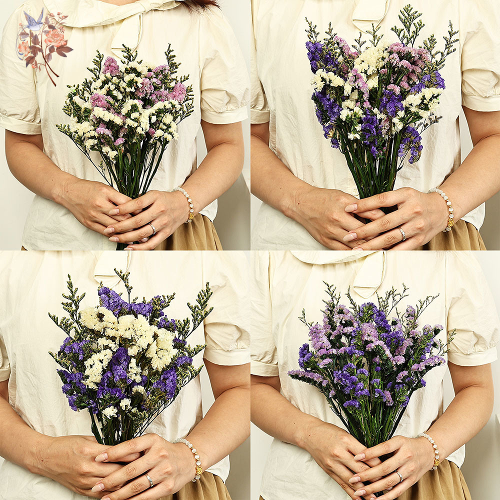 100g Natural Real Forget-me-no – Dried Flower Pressed Bewertung und Preis