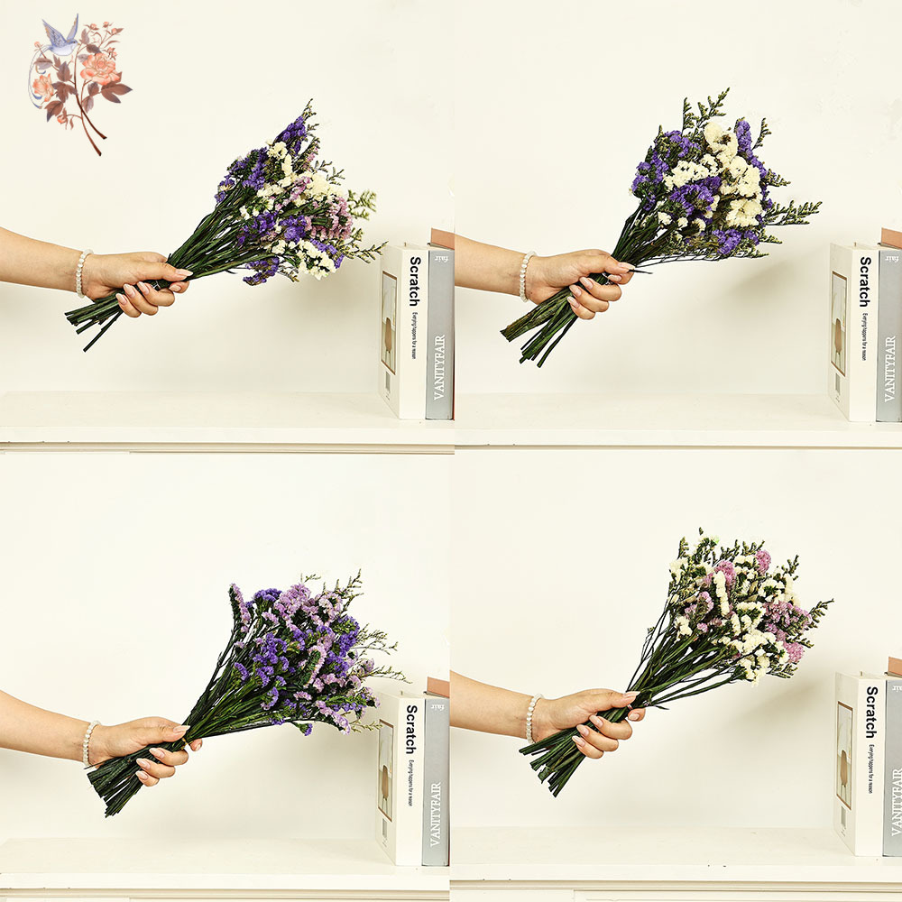 100g Natural Real Forget-me-no – Dried Flower Pressed Bewertung und Preis