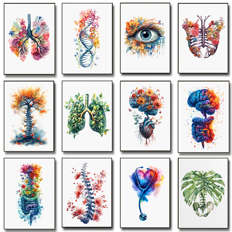 Anatomy Of Human Organs Poster – Resin Art Wall Decor Bewertung und Preis