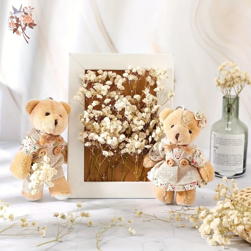 100pcs Mini Dried Baby's Breat – Dried Flower Pressed Bewertung und Preis